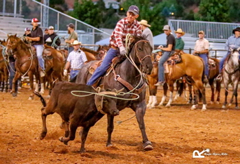 Rope-Race-Ride team roping